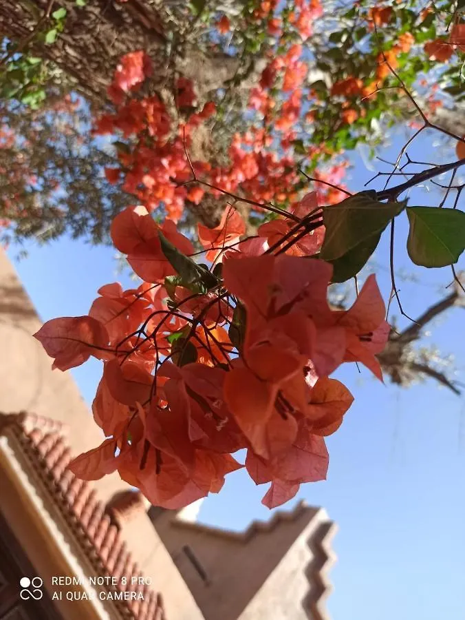 Casa Del Senator Ourika Hotel Marrakesh Guest house